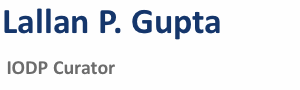 Lallan P. Gupta