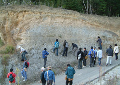 We contributed in the field work organized as a part of the Sedimentological Society of Japan meeting.