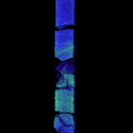 Exp.322-C0012A-52R-1