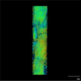 3D core image