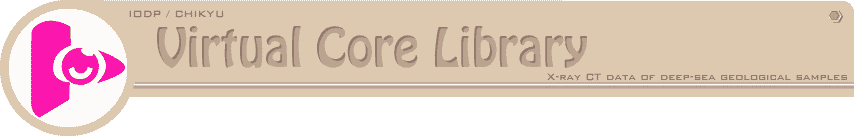 Virtual Core Library