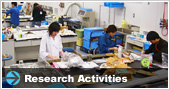 Research Activities