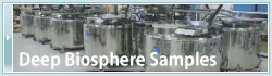 Deep Biosphere Samples