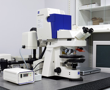 Confocal Laser Scanning Microscope