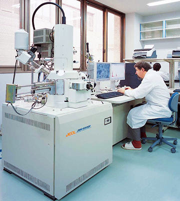 Field Emission Scanning Electron Microscope (FE-SEM)