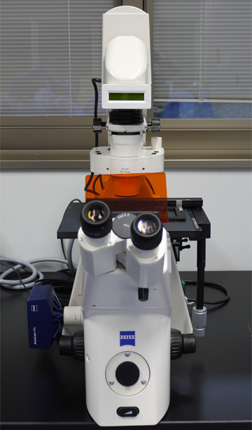 Inverted Microscope