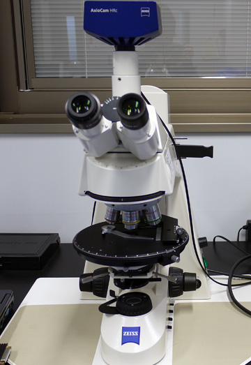 Polarizing Microscope